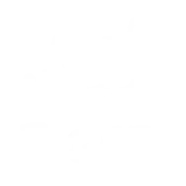 LIL TIGER SCBD
